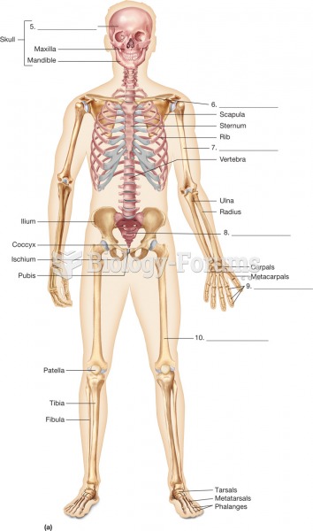 The bones of the skeleton. The skeleton, anterior view.