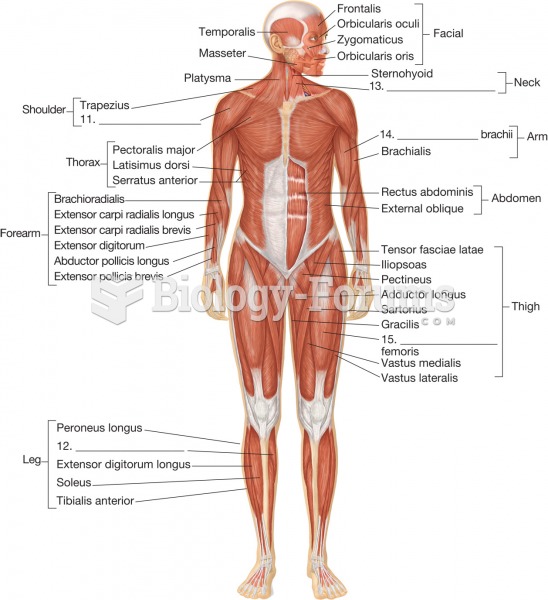 The major muscles of the human body, anterior side.