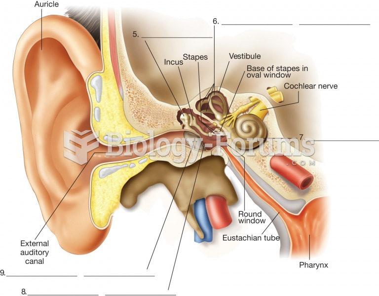 The ear. Lateral view of the ear region on one side of the head.