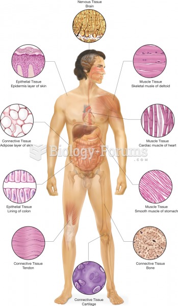 The appearance of different types of tissues-muscle, epithelial, nervous, connective-and their locat