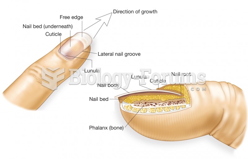 External and internal structures of nails. 