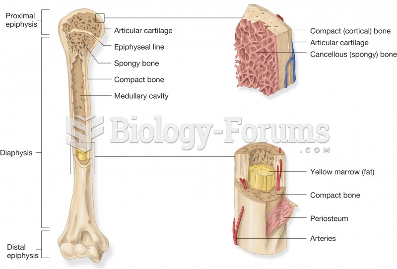 Components of a long bone. The entire long bone is on the left side accompanied by a blowup of the p