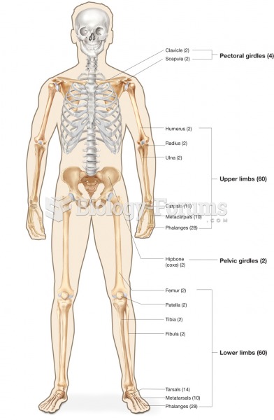 Bones of the appendicular skeleton. 