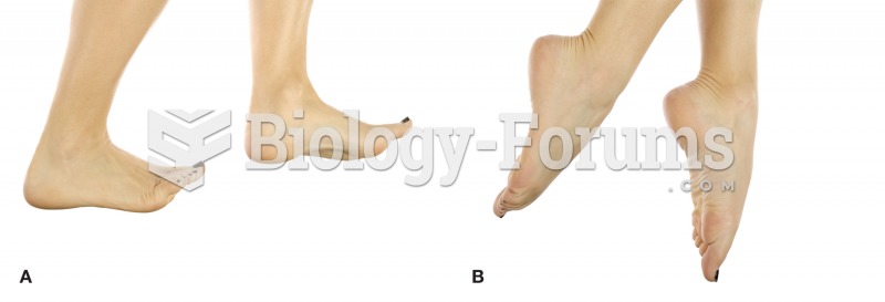 Dorsiflexion (A) and plantar flexion (B) of the ankle joint. 