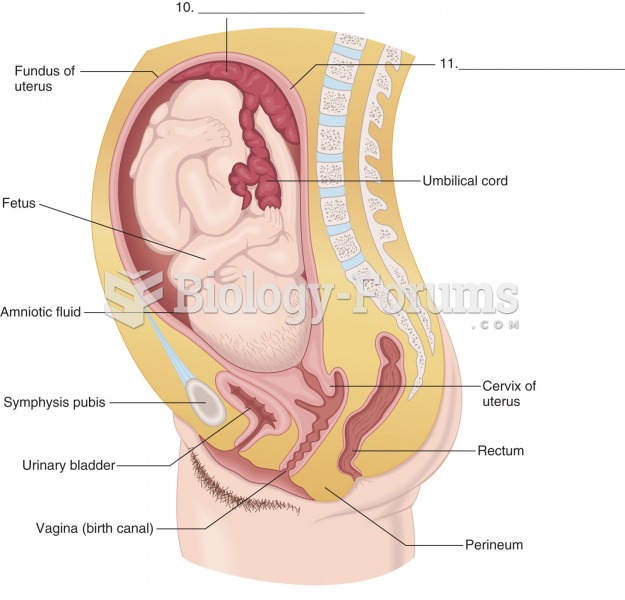 A normal pregnancy.