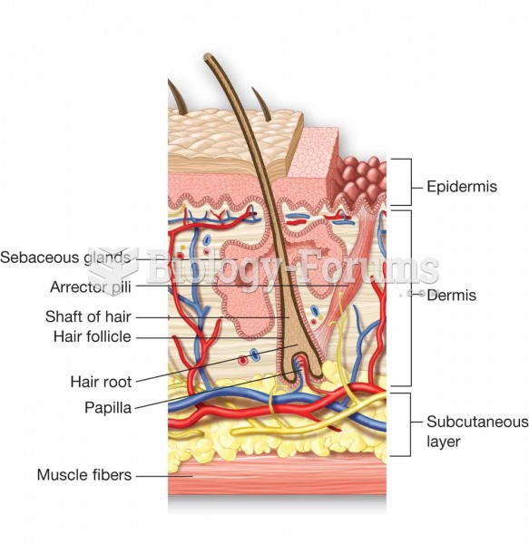 Cross-section of skin and a hair follicle. Note the shaft of the hair, the root, and papilla