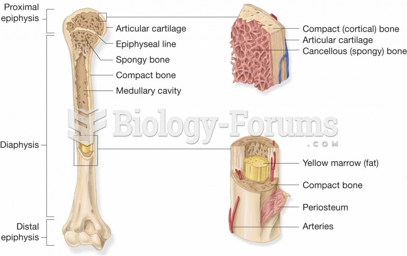Features found in a long bone.