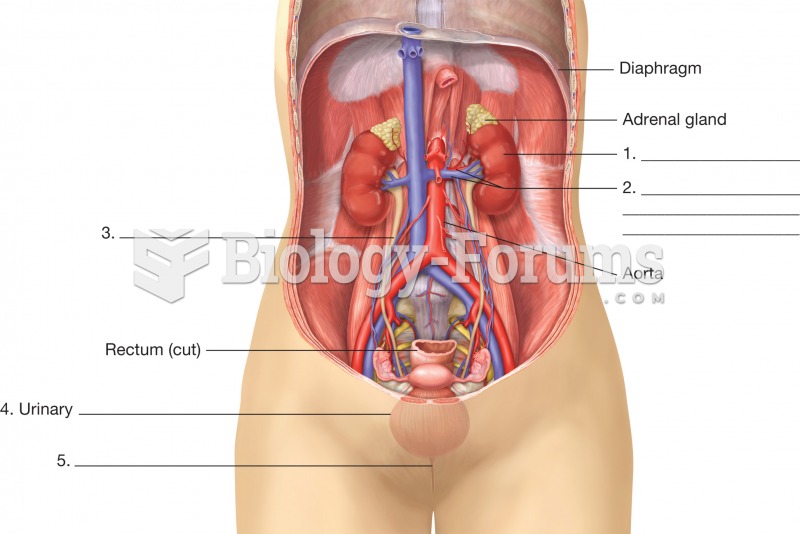 Organs of the urinary system. This illustration is an anterior view of a female with the abdominal w