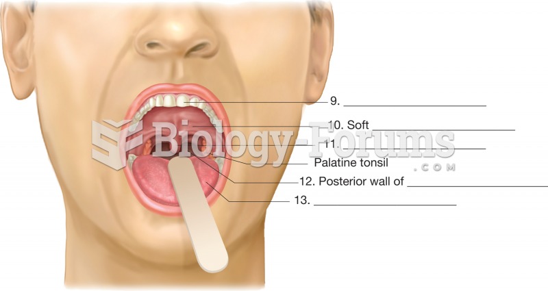 The oral cavity. Anterior view of the open mouth.