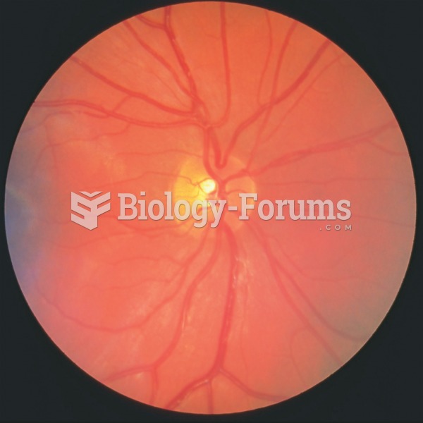 Photograph of the retina of the eye. The optic disk appears yellow and the retinal arteries radiate 