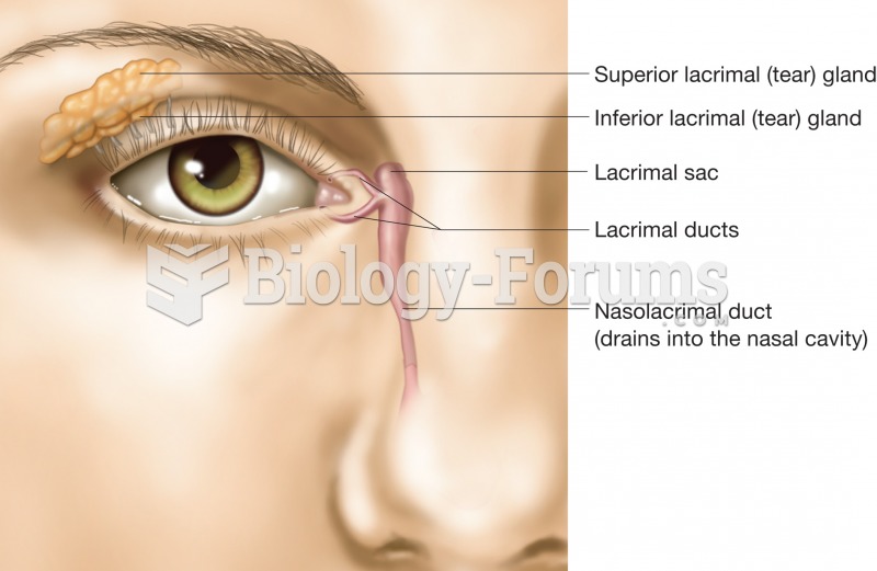 The structure of the lacrimal apparatus. 