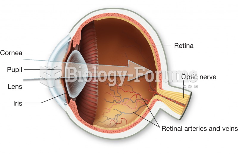 The path of light through the cornea, iris, lens, and striking the retina. 