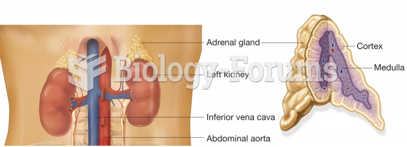 The adrenal glands. These glands sit on top of each kidney. Each adrenal is subdivided into an outer