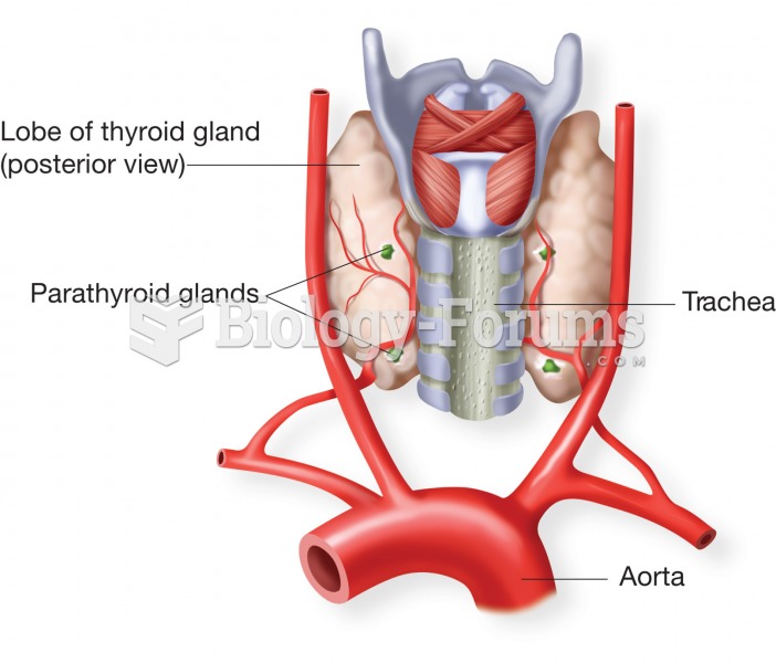 The parathyroid glands. These four glands are located on the posterior side of the thyroid gland. Th