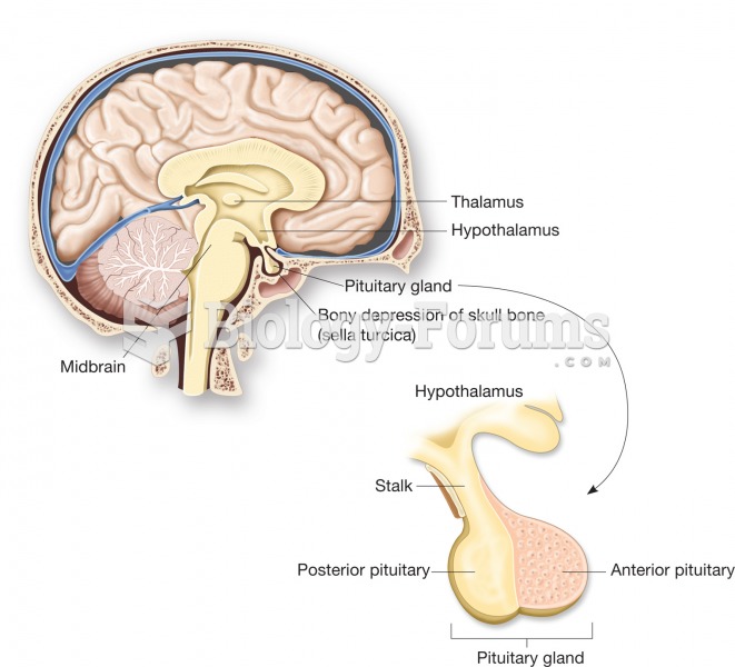 The pituitary gland lies just underneath the brain. It is subdivided into anterior and posterior lob