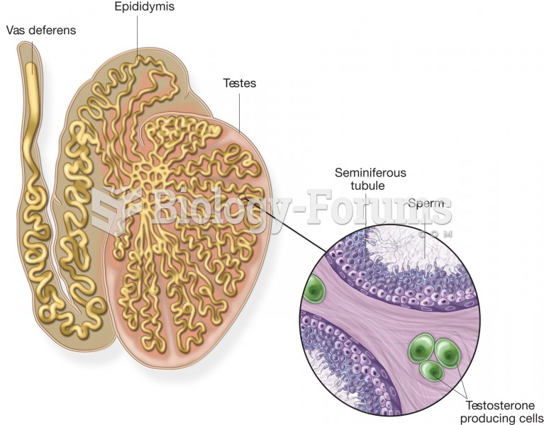 The testes. In addition to producing sperm, the testes secrete the male sex hormones, primarily test