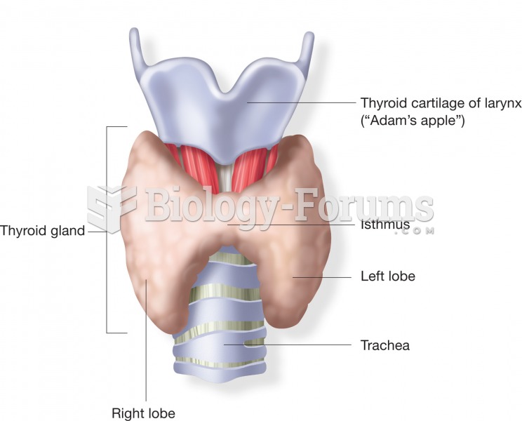 The thyroid gland is subdivided into two lobes, one on each side of the trachea. 