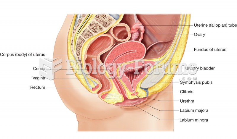 The female reproductive system, sagittal view showing organs of the system in relation to the urinar