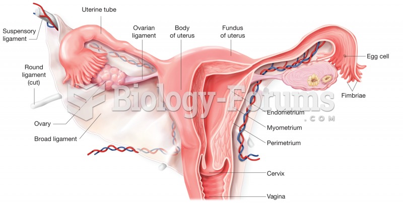 The uterus. Cutaway view shows regions of the uterus and cervix and its relationship to the uterine 