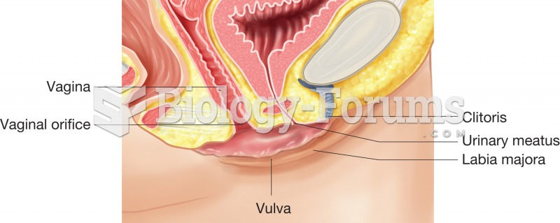 The vulva, sagittal section illustrating how the labia majora and labia minora cover and protect the