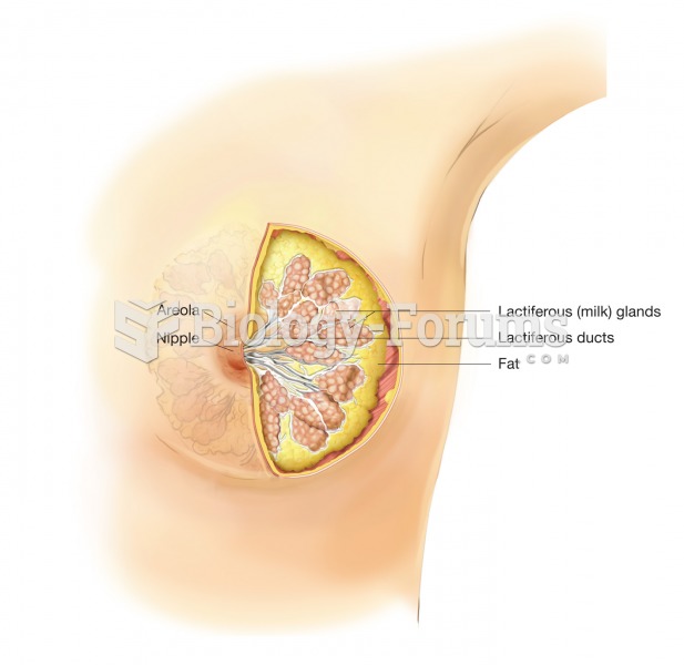 The breast, cutaway view showing both internal and external features. 