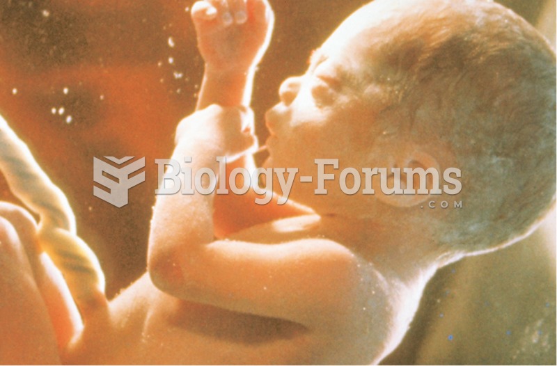 Photograph illustrating the development of a fetus