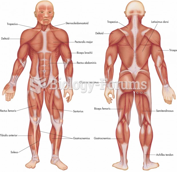 Selected skeletal muscles and the Achilles tendon (anterior and posterior views).