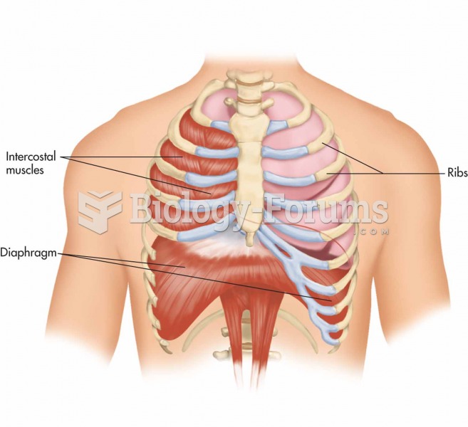 Diaphragm, the major muscle of breathing.