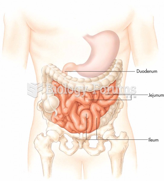 Small intestine.