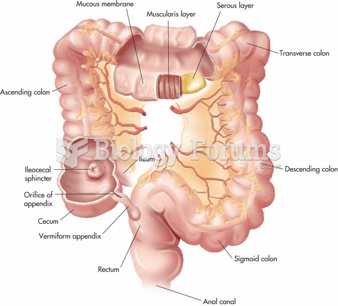 Large intestine.