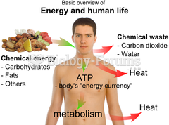 Basic energy of a human life
