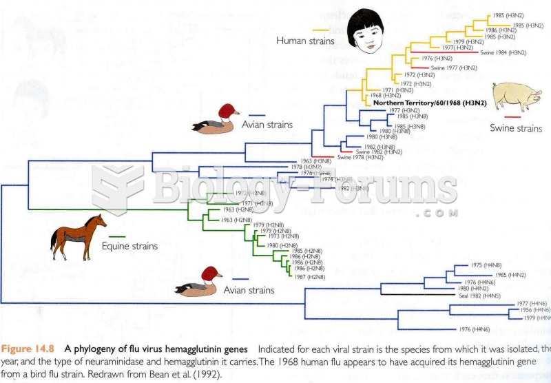 A phylogeny of Flu Virus Hemaglutinin genes