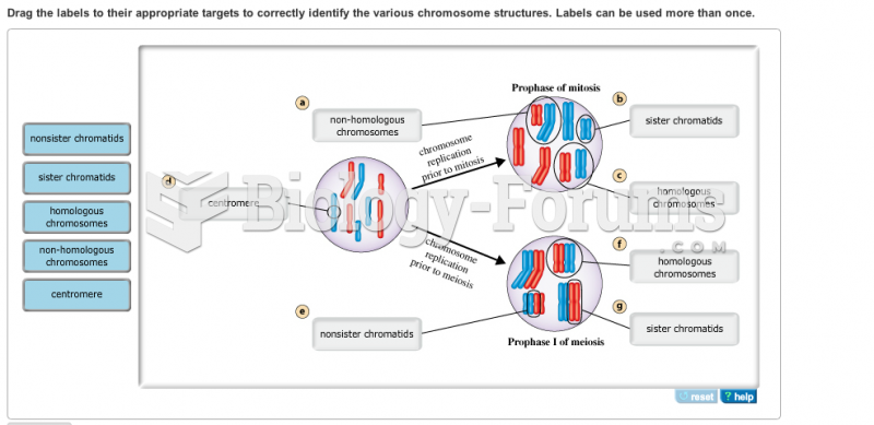 Interactions among chromosomes