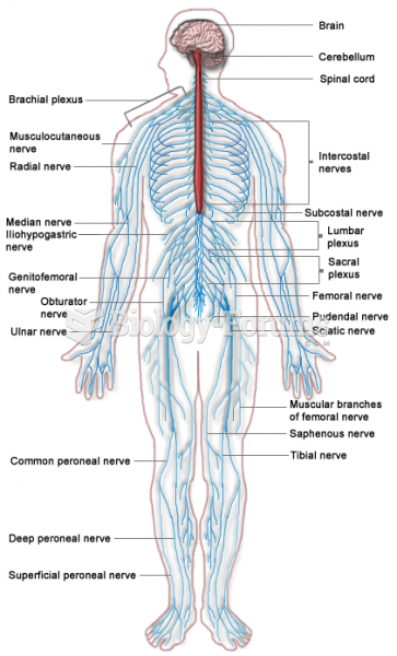 Parts of human nervous system
