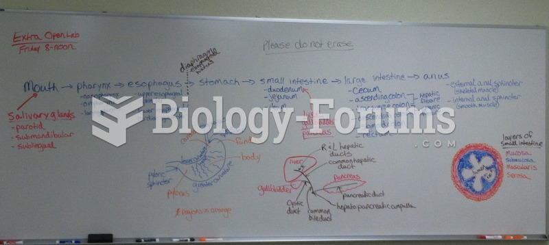 Digestive System