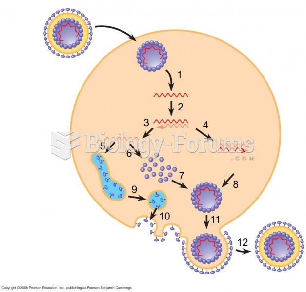 RNA Virus Life Cycle