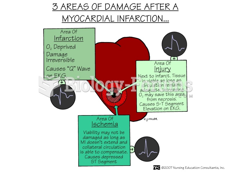 3 Areas of damage after a myocardial infarction