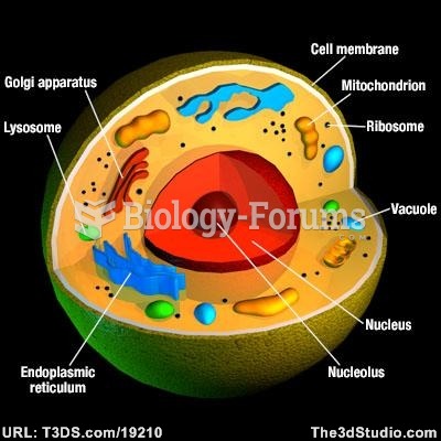 Cell Structure