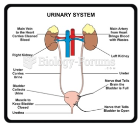 Urinary System