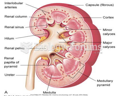 Renal System