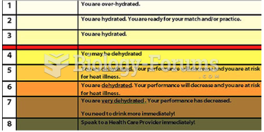 Urine Color Guide