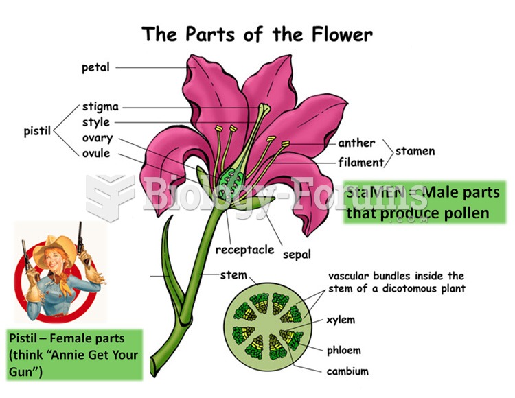Parts of flower