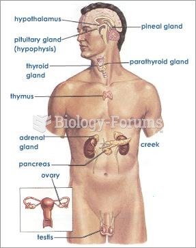 endocrine glands in human