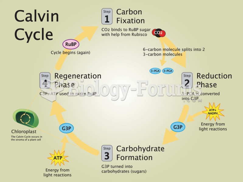 calvin cycle2