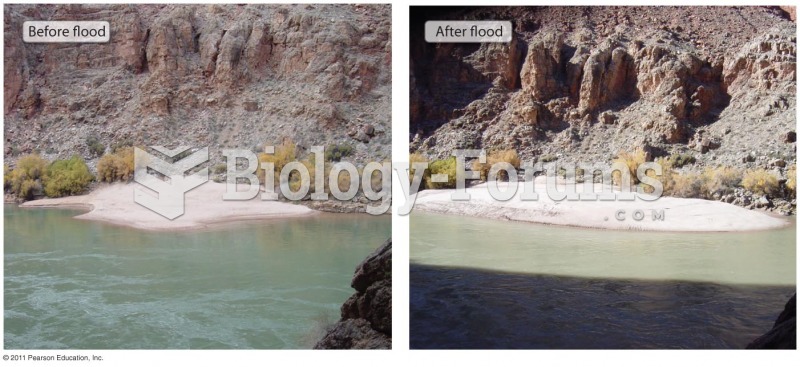 Manmade Floods Reestablish Habitat in the Grand Canyon