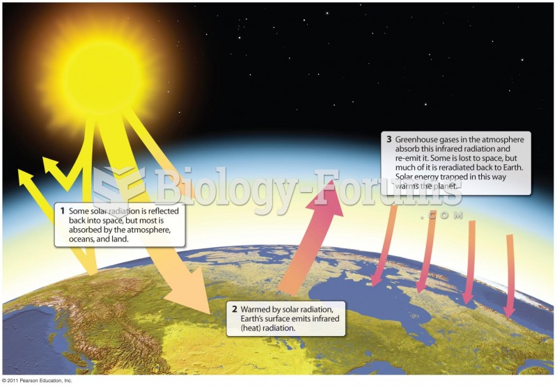 The Greenhouse Effect