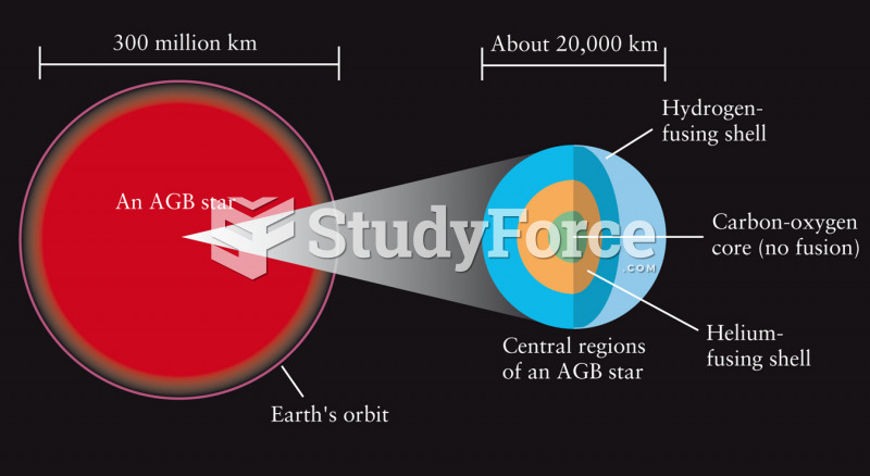 The Structure of an Old Low-Mass Star