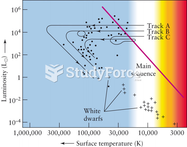 Evolution from Supergiants to White Dwarfs