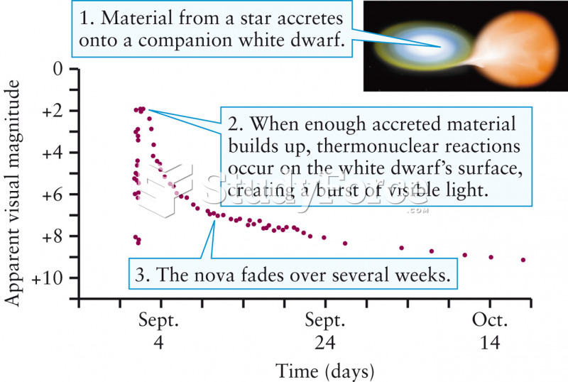 The Light Curve of a Nova