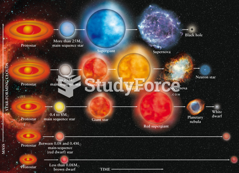 A Summary of Stellar Evolution